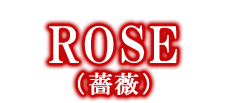 大阪のメンズエステなら薔薇と紳士